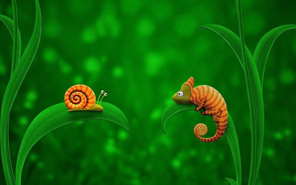 Snail and chameleon wallpapers