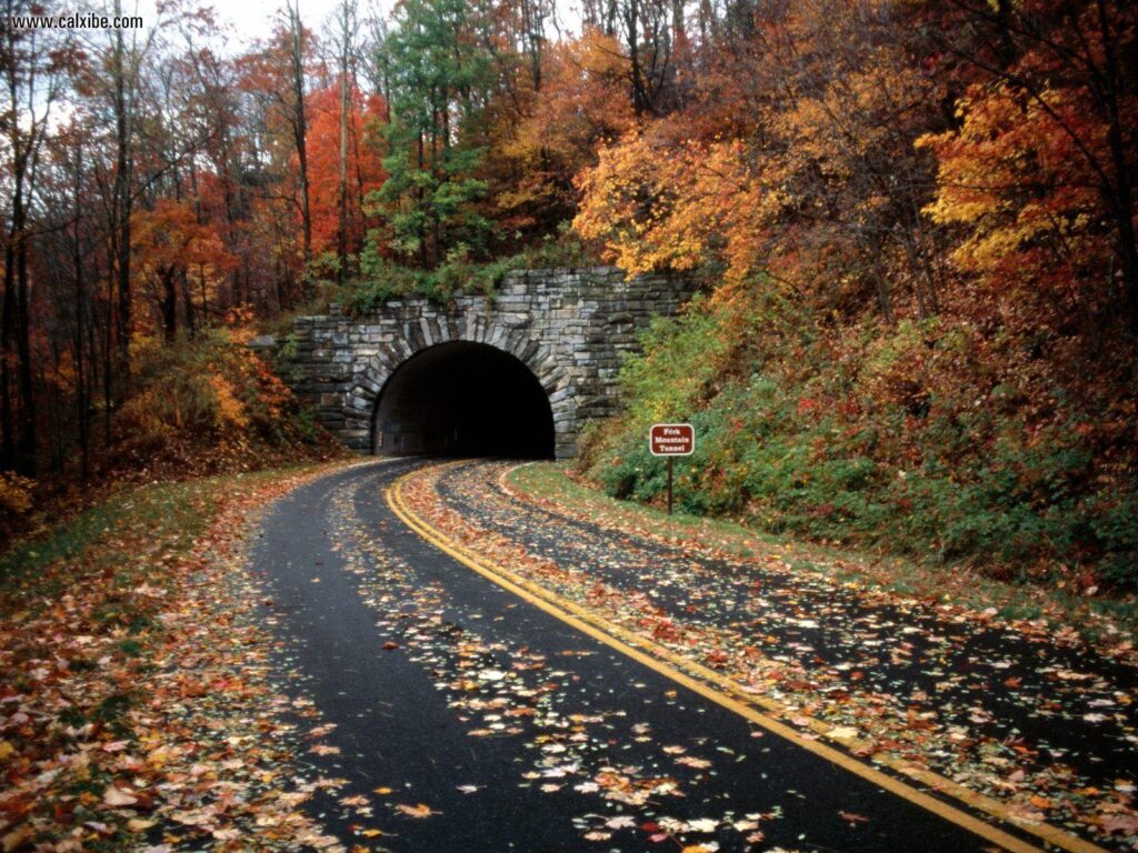 Known places Blue Ridge Parkway Pisgah National Forest North