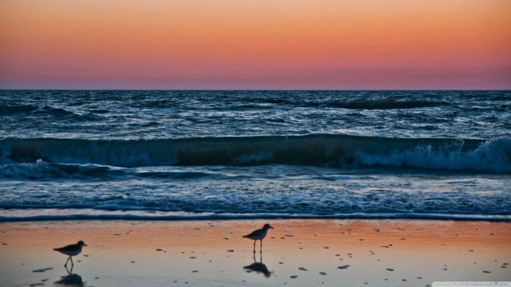 Sunset In Naples, Florida 2K desk 4K wallpapers Widescreen High