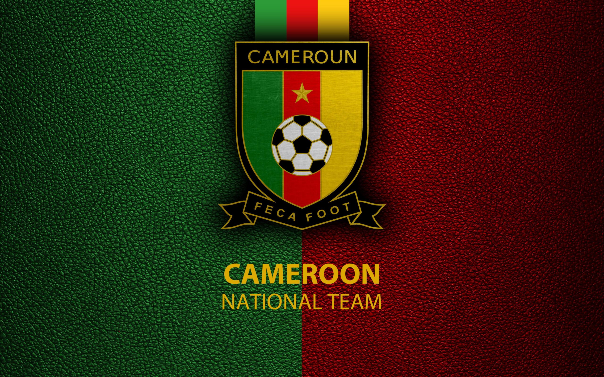 Cameroon National Football Team k Ultra 2K Wallpapers