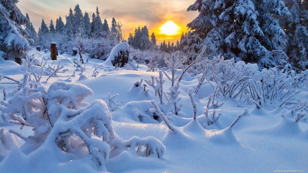 Download Winter Season Natures Nature Landscape Winter Wallpapers