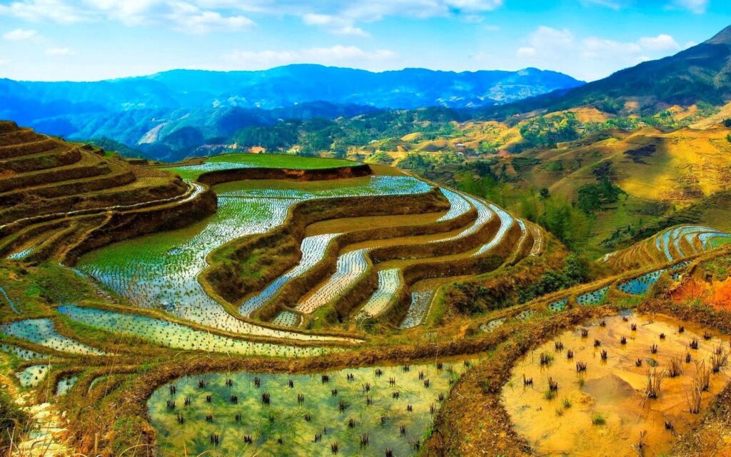 Banaue Rice Terraces Wallpapers