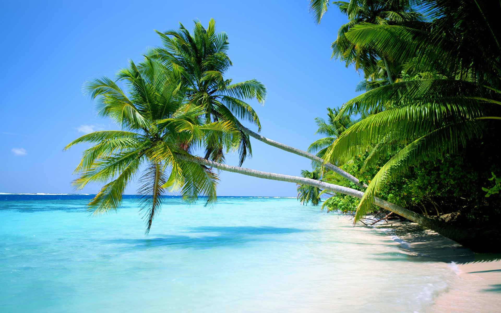 Tropical Beach Wallpapers Widescreen 2K Pictures 2K Wallpapers