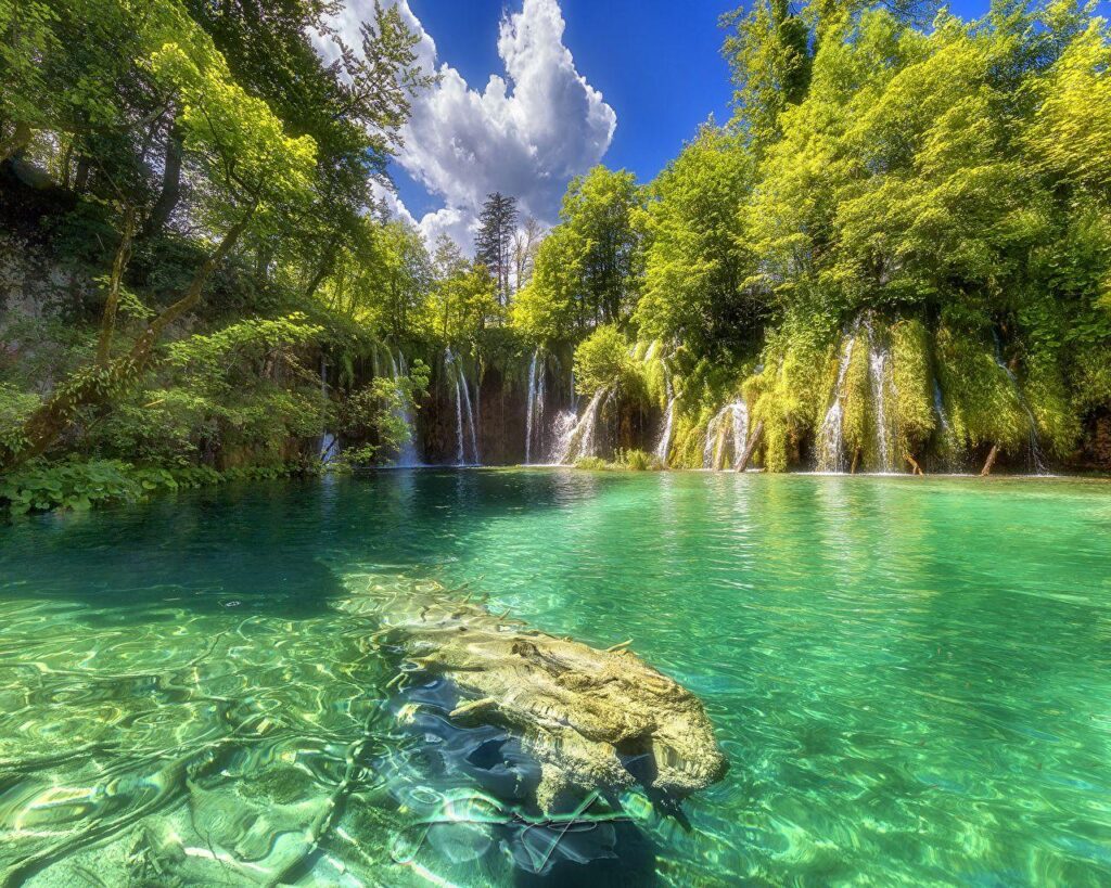 Photos Croatia Plitvice Lakes National Park Nature