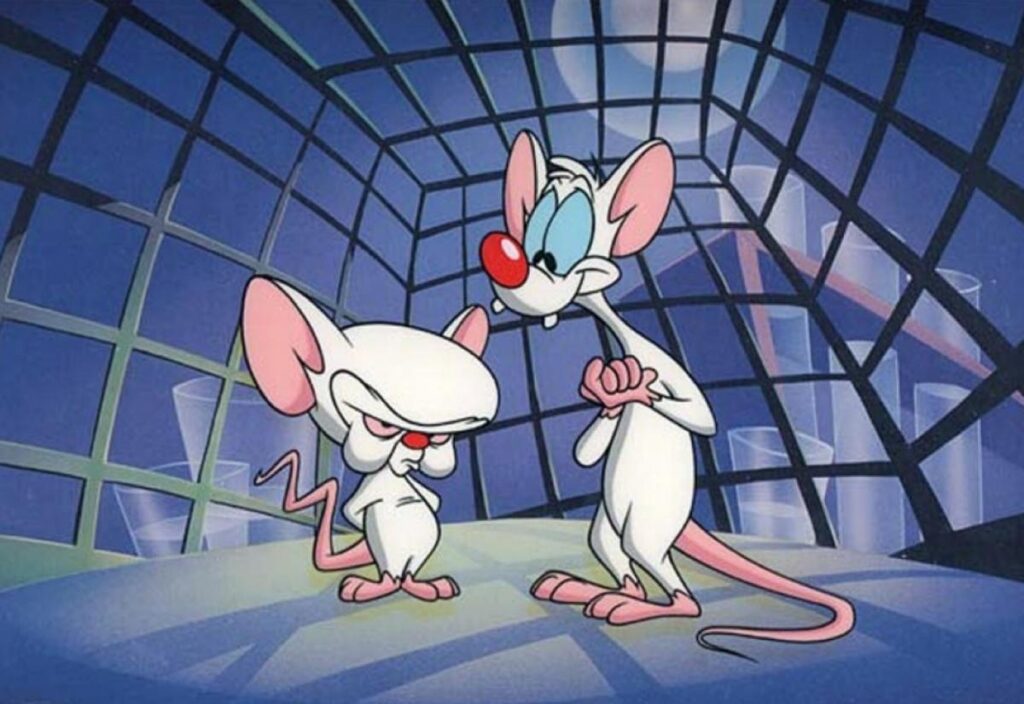 Px KB Pinky And The Brain