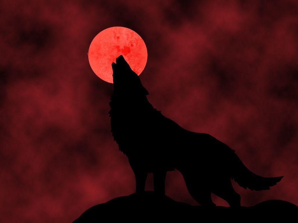 Blood Moon Wallpapers Cool HD