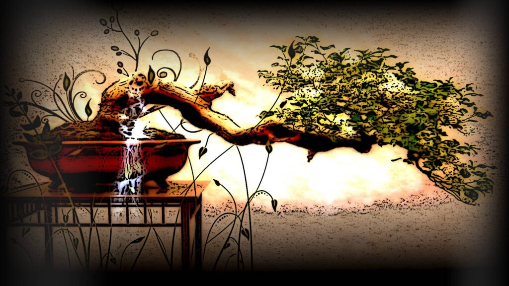 Bonsai Tree Wallpapers by PlanetaryPenguin
