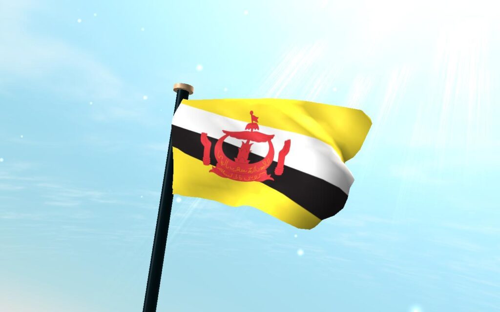 Brunei Darussalam Flag D Free for Android