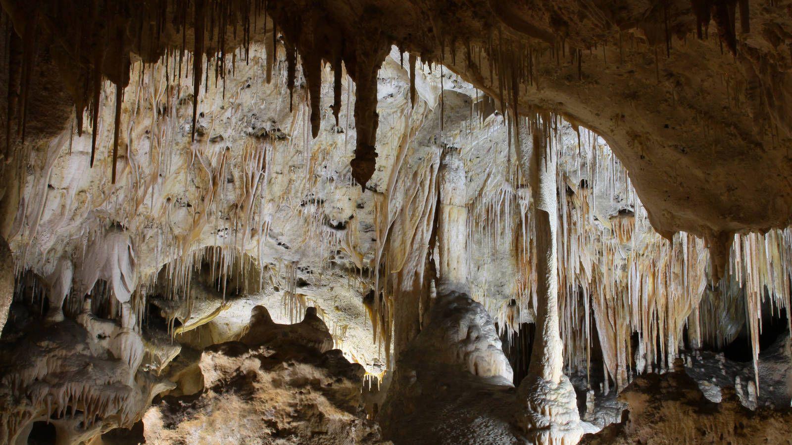 Carlsbad Caverns · National Parks Conservation Association