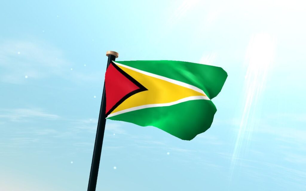 Guyana Flag D Free for Android