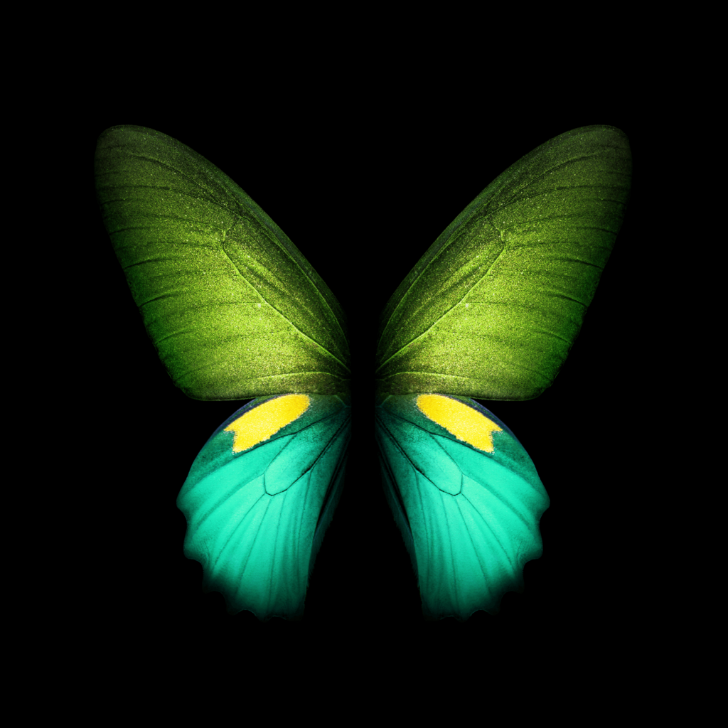 Download Samsung Galaxy Fold wallpapers
