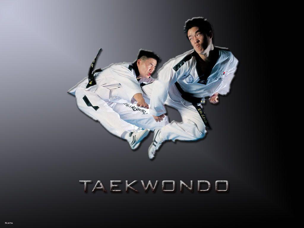 Taekwondo Wallpaper, Background, Theme, Desktop