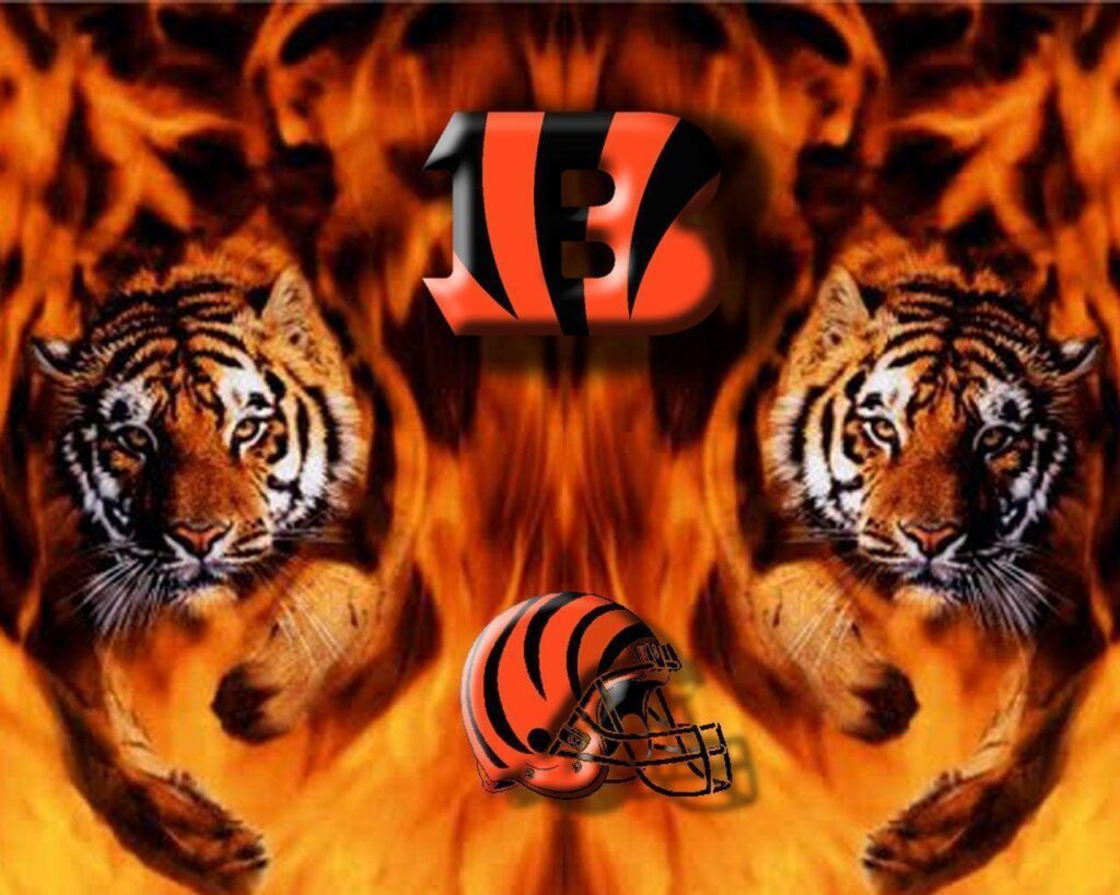 Cincinnati Bengals Two Tigers Wallpapers Nfl PX – Bengals