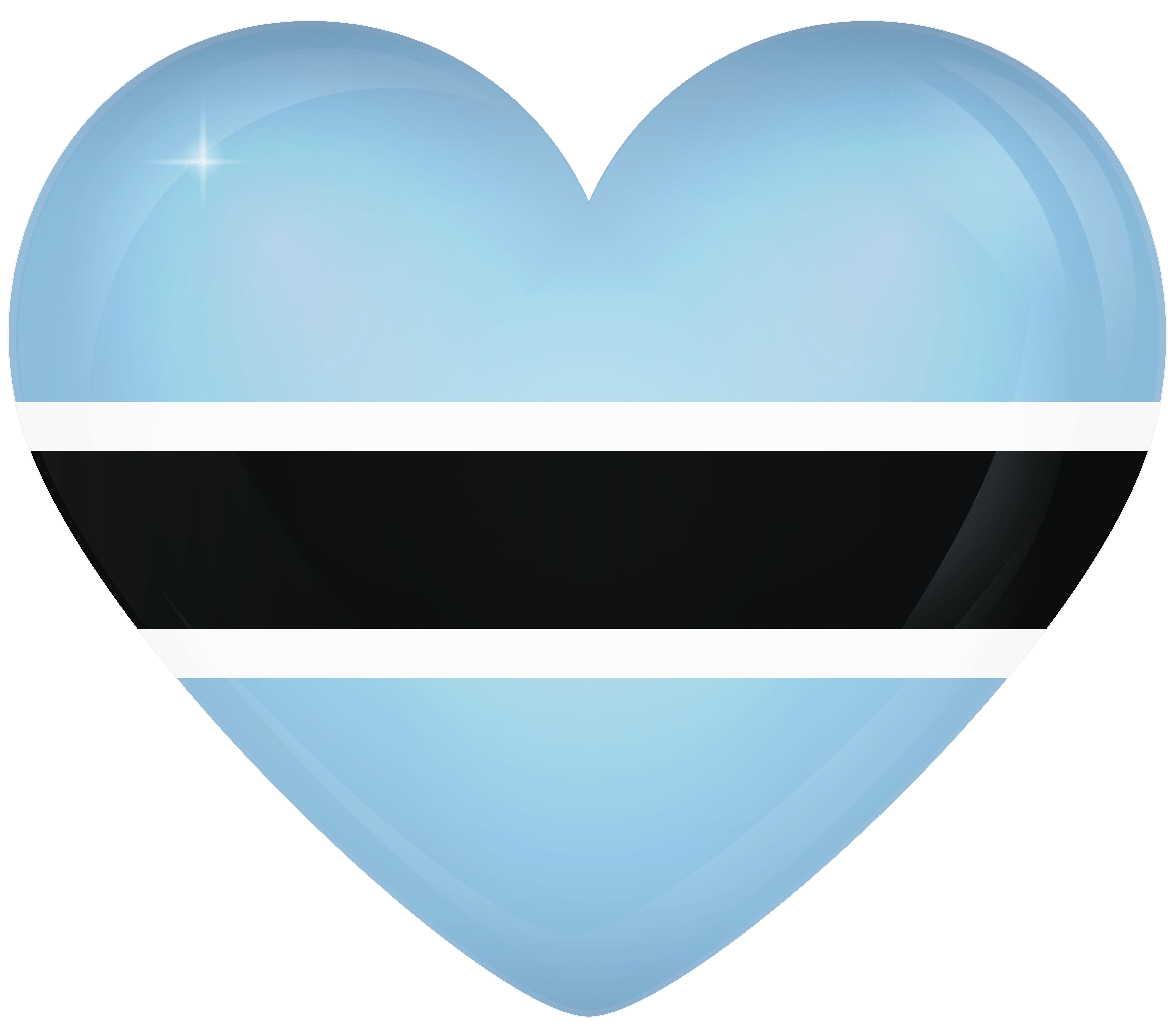 Botswana Large Heart Flag