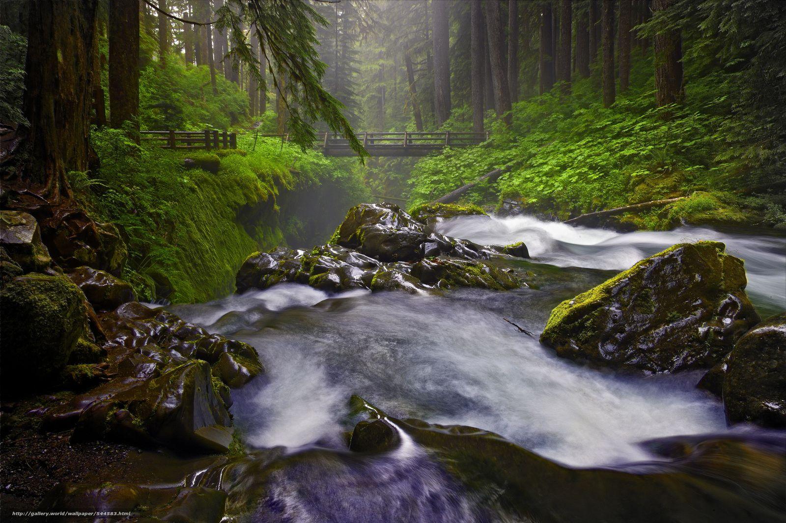 Download wallpapers Sol Duc Falls, Olympic National Park