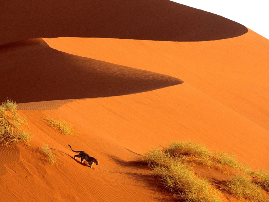 Crossing the Sand Dunes of Sossusvlei Park | Namibia | Africa