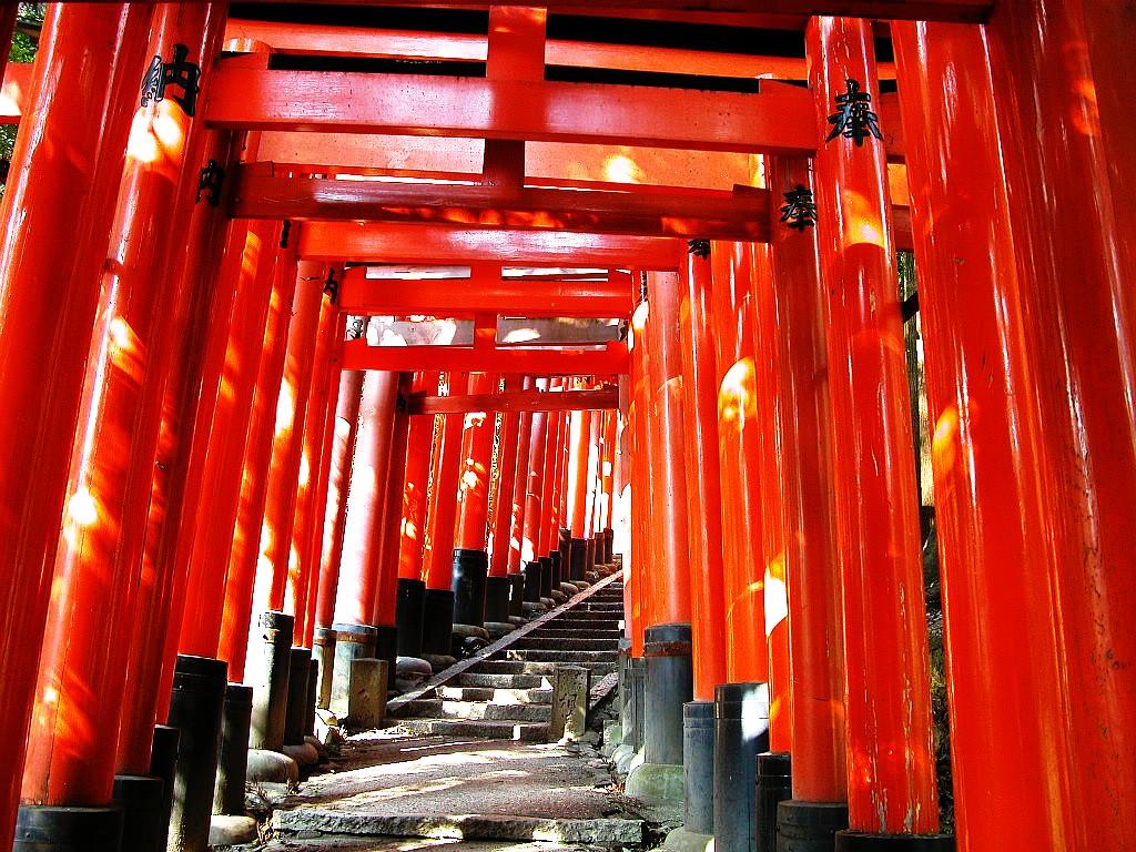 Torii Tag wallpapers Shrine Gate Temple Japanese Forest Japan Torii