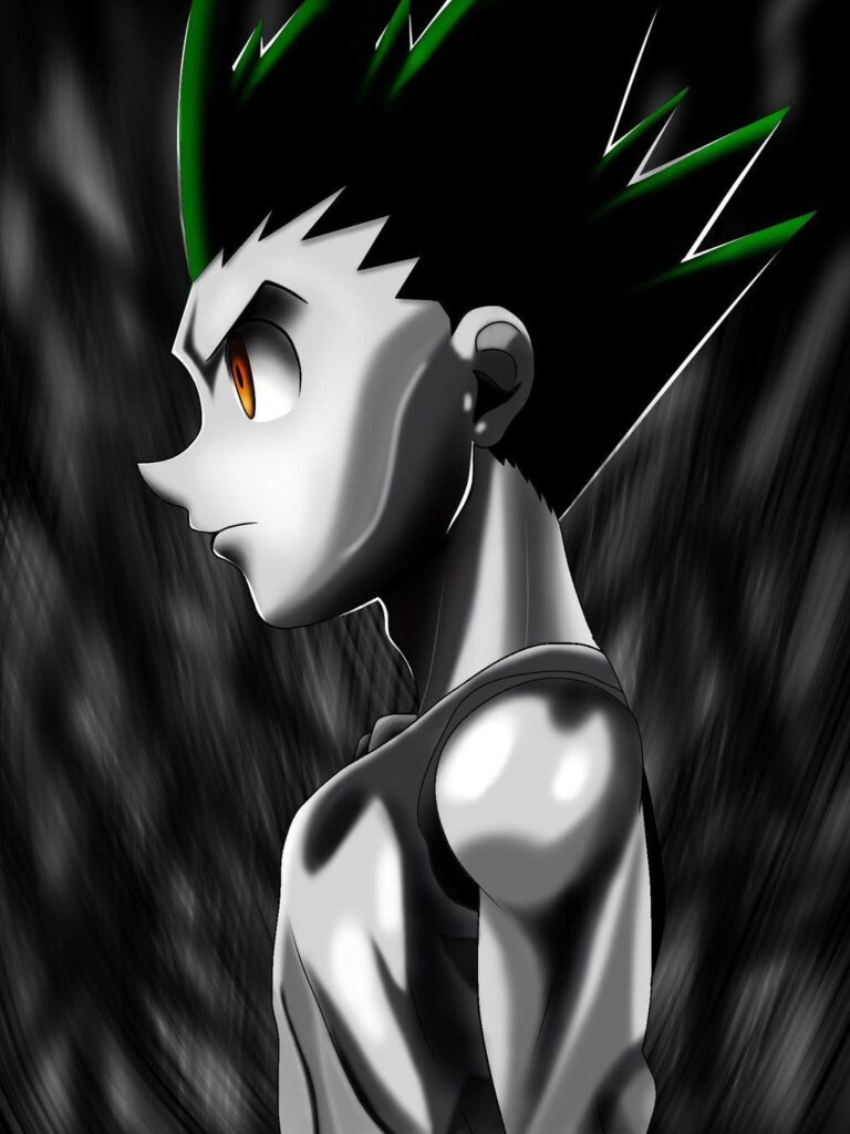 Gon Freecss done with iPad by rbxx