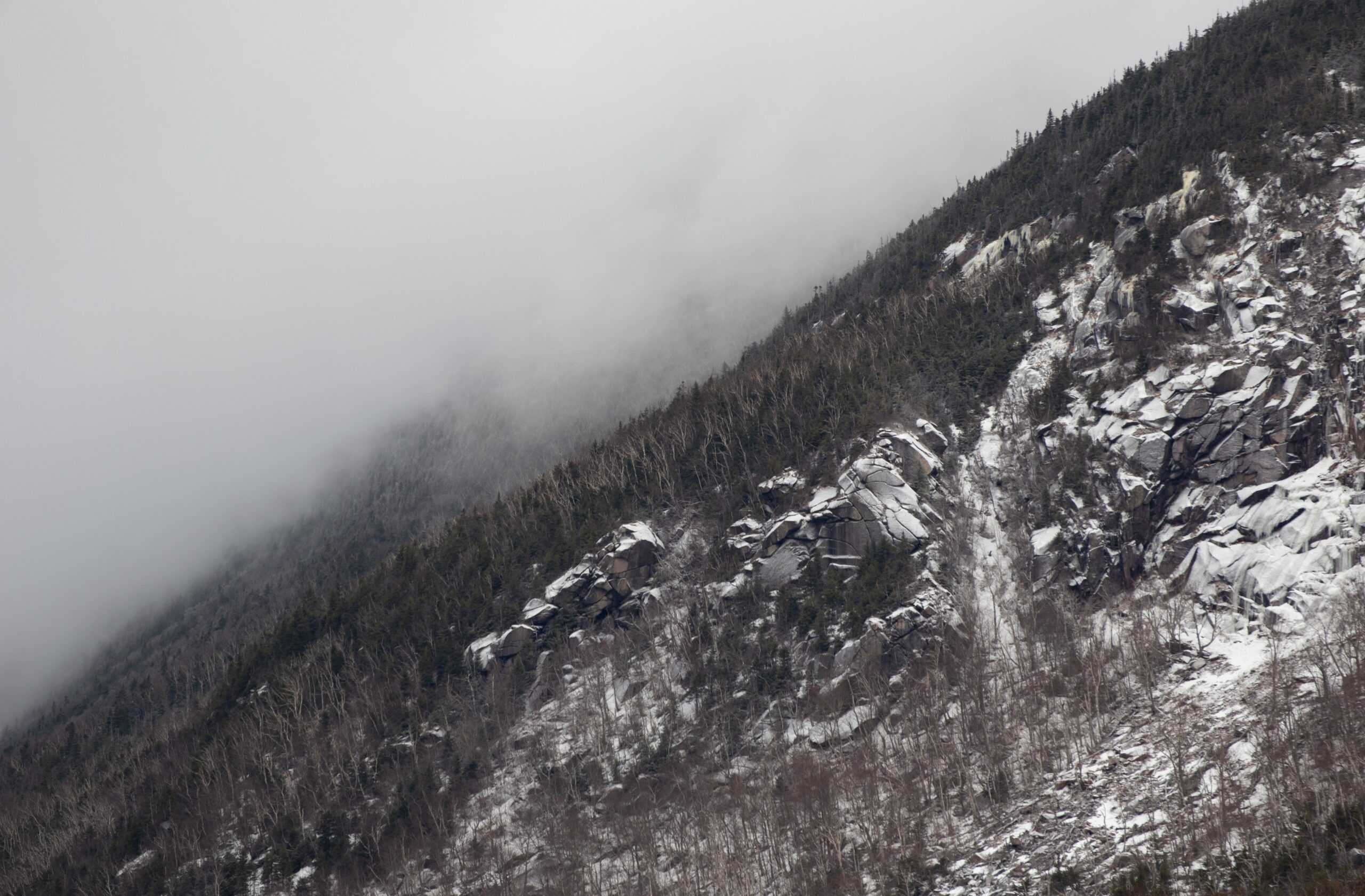 Download Foggy Mountain, Cold, Rocks, Field, Plants, Mist