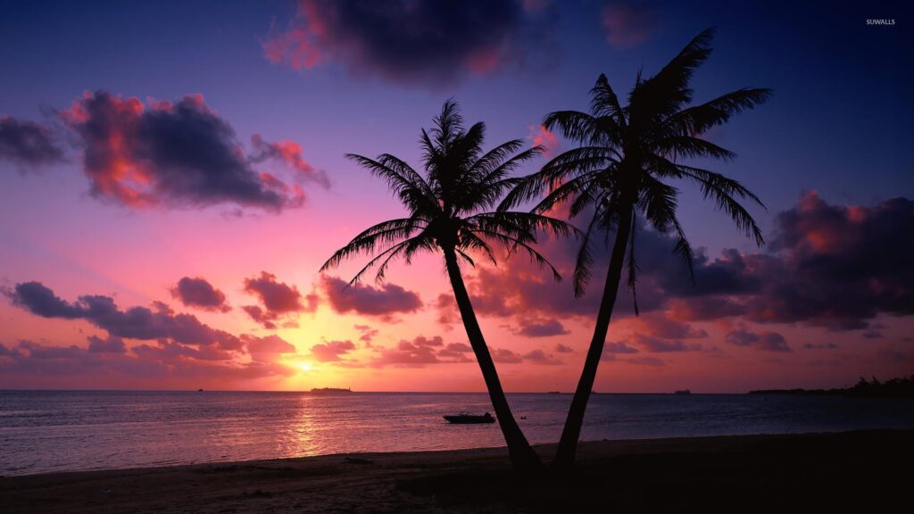 Sunset Palm Trees Wallpapers