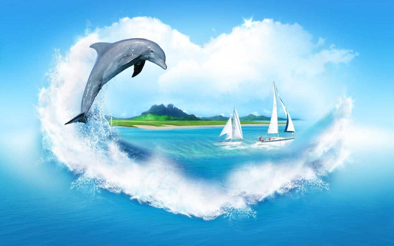 Best Oceanic Dolphin Wallpapers on HipWallpapers