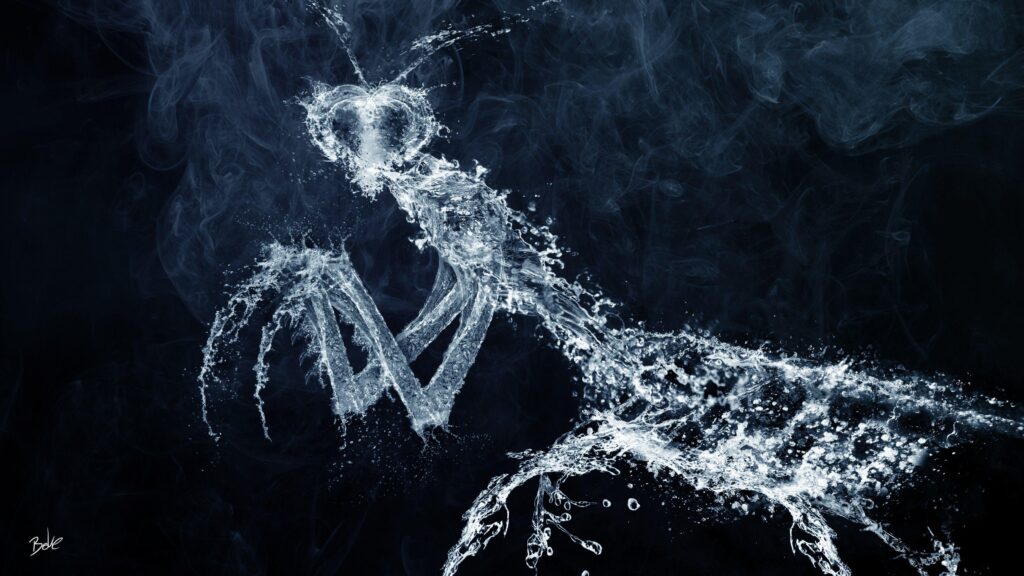 The figure of a praying mantis from the water wallpapers and Wallpaper