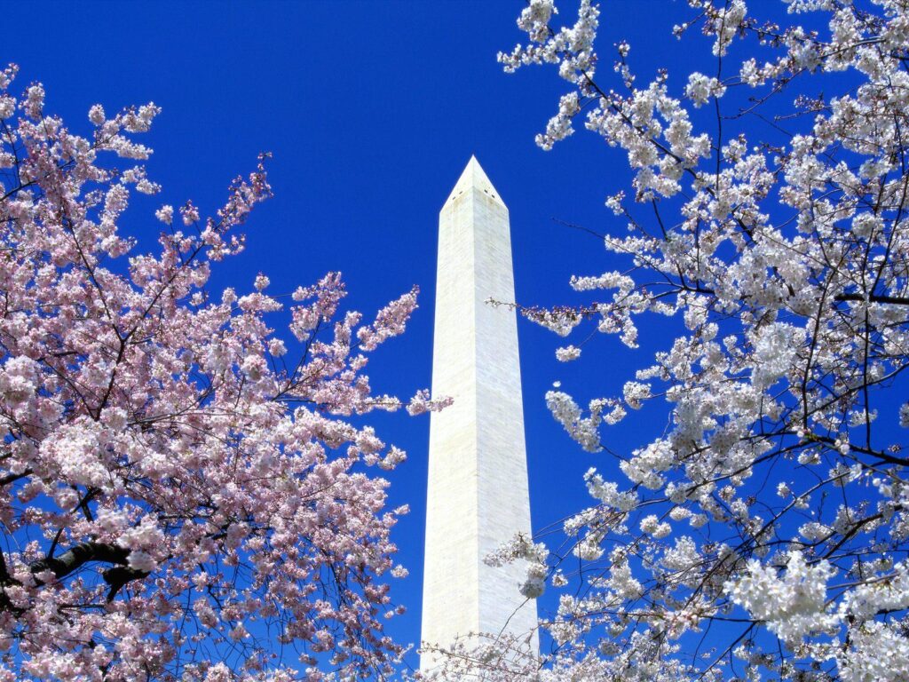 Washington DC Monuments wallpapers