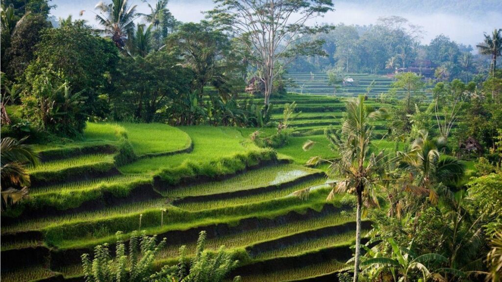 Indonesia Nature Wallpapers