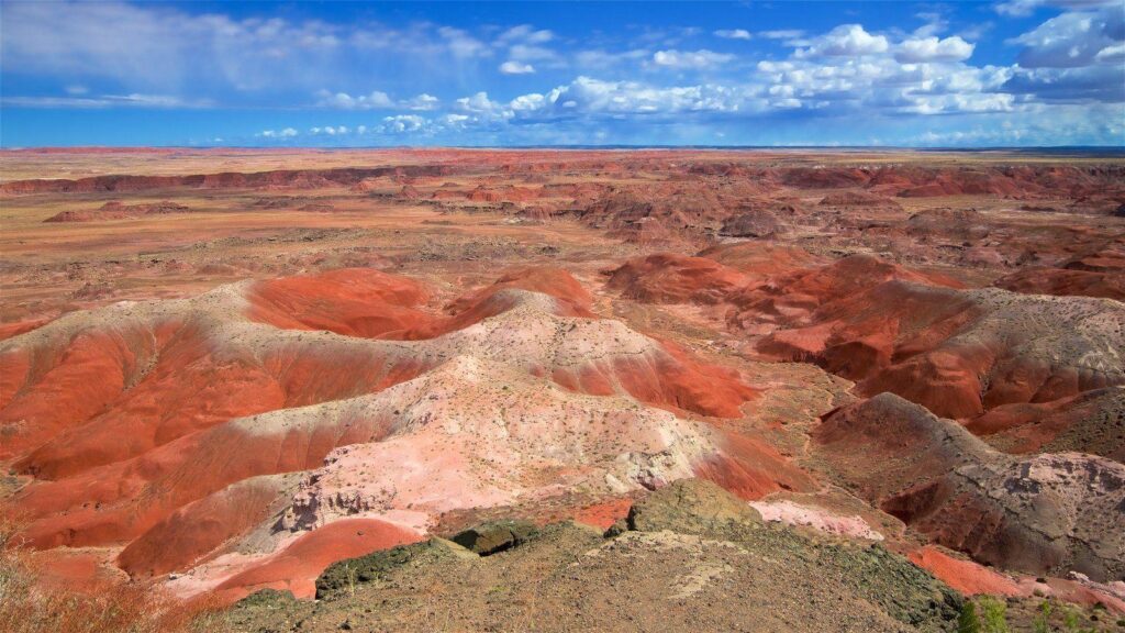 Landscape Pictures View Wallpaper of Petrified Forest National Park