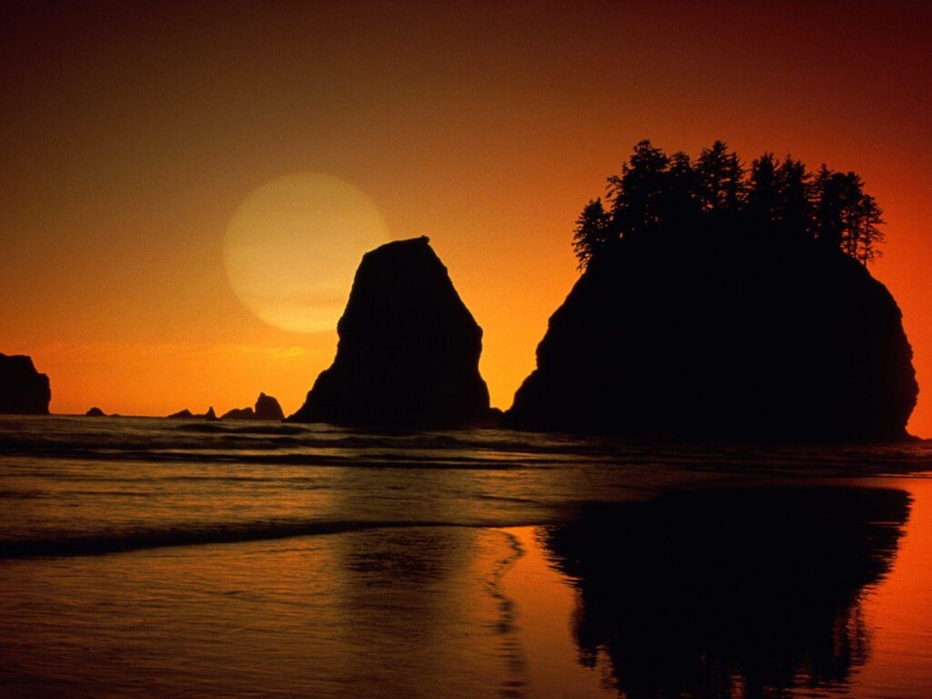 Free Second Beach Olympic National Park Washington Wallpapers