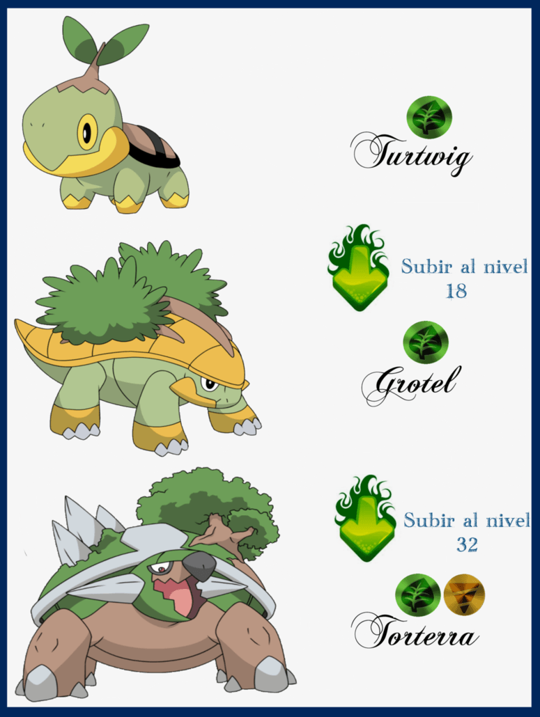 Turtwig by Maxconnery
