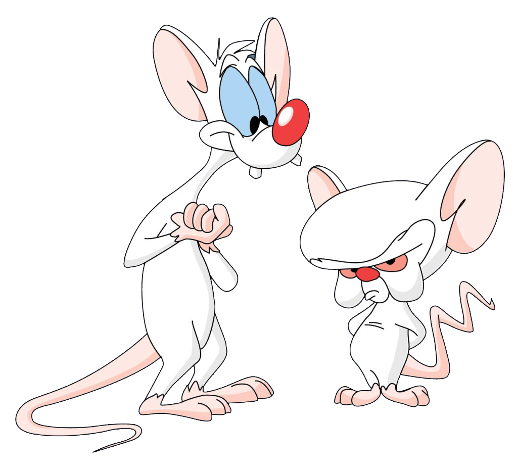 Pinky And The Brain pinky and the brain intro youtube