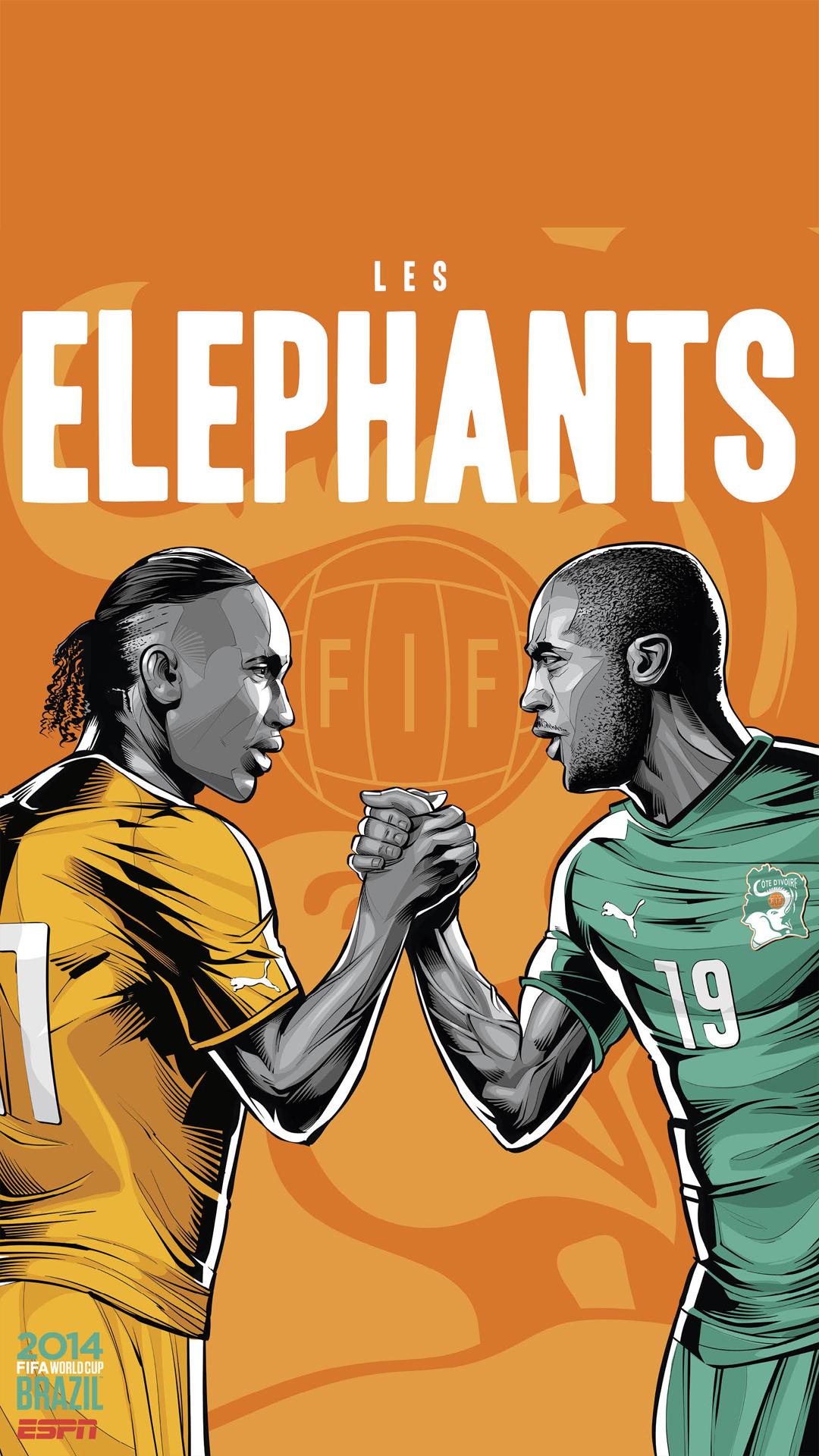 Brazil World Cup Ivory Coast