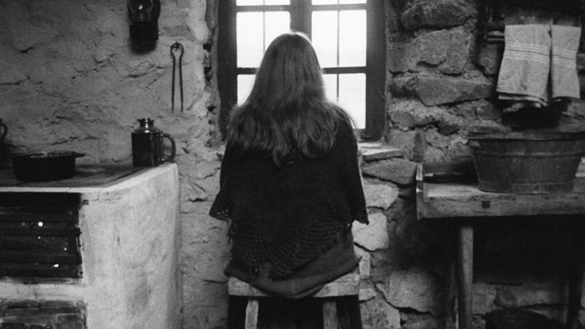 Indoors kitchen grayscale windows the turin horse wallpapers