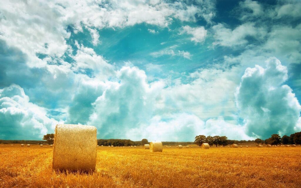 Wallpapers Hay Field X 2K Wallpapers For Desk 4K Free