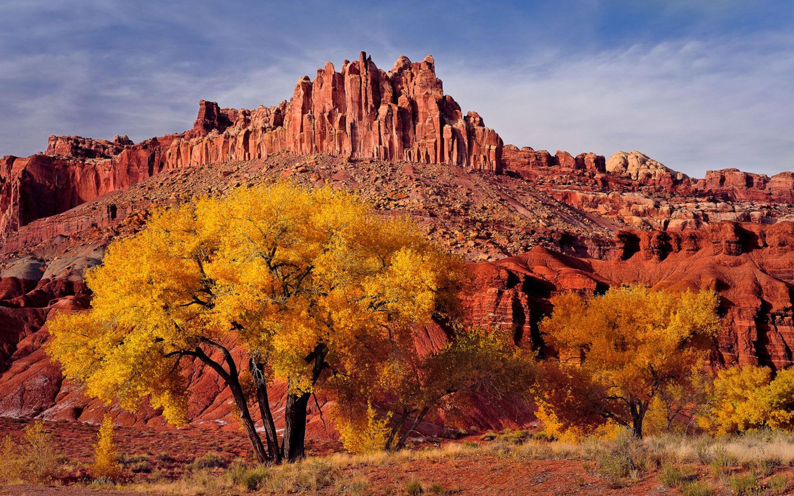 Autumn Landscape National Park In Utah