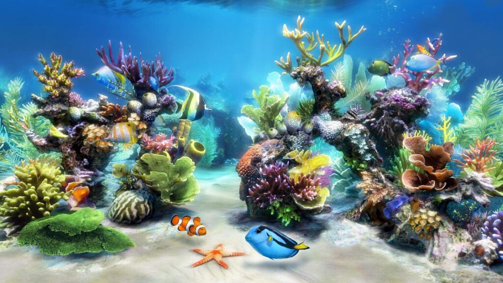 Aquarium Wallpaper Backgrounds