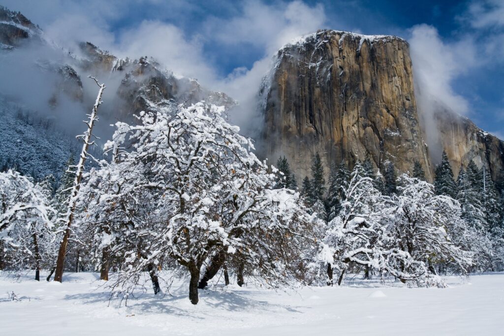 Yosemite National Park 2K Wallpapers