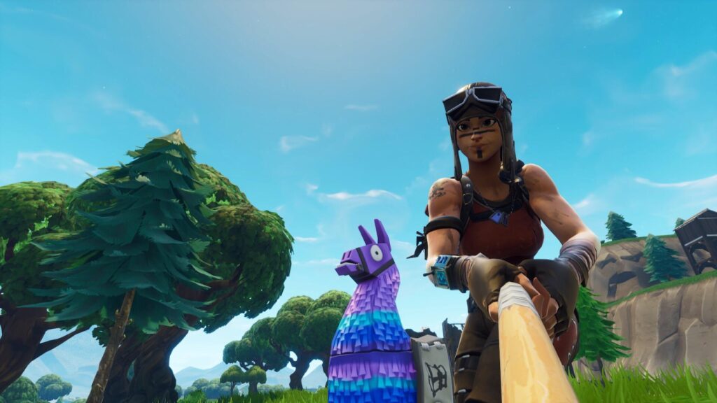 Took a selfie with a llama, ended up getting the comet too FortNiteBR