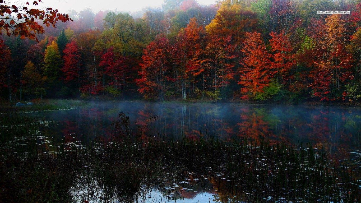 Forests Chatfield Hollow Trails Colors Boulders Connecticut Autumn