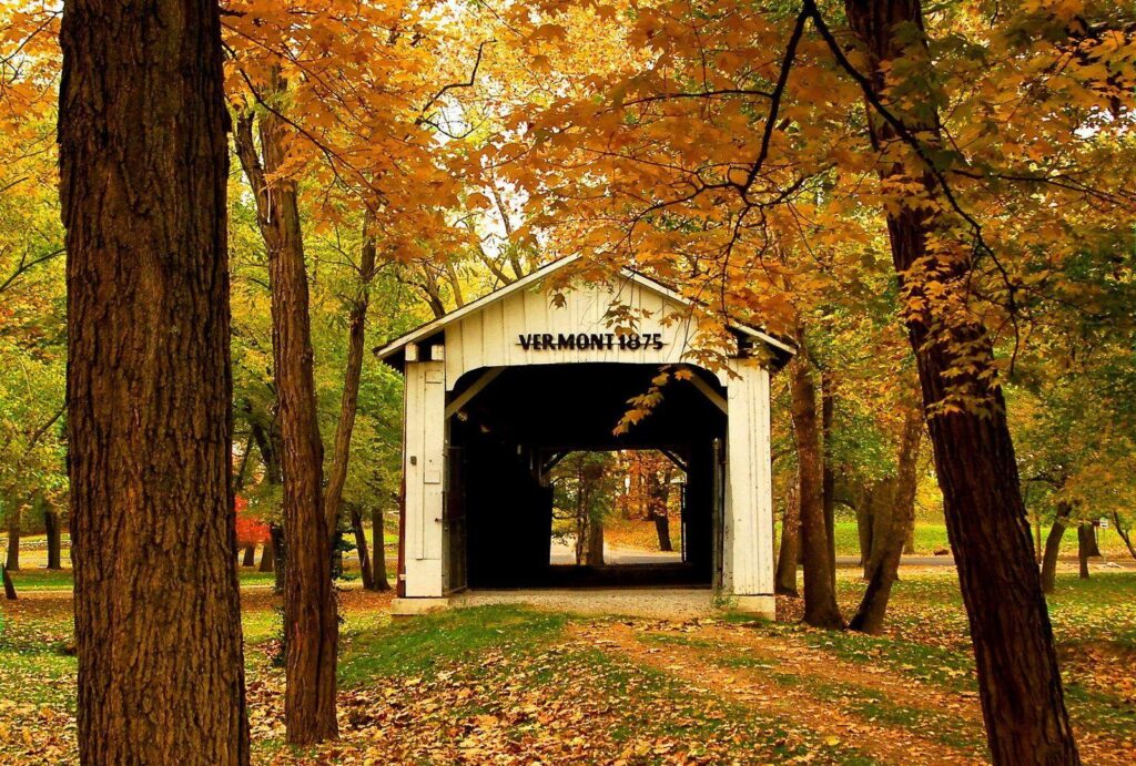 Vermont Bridge Serenity Patyh America Forest Branches Park Calm