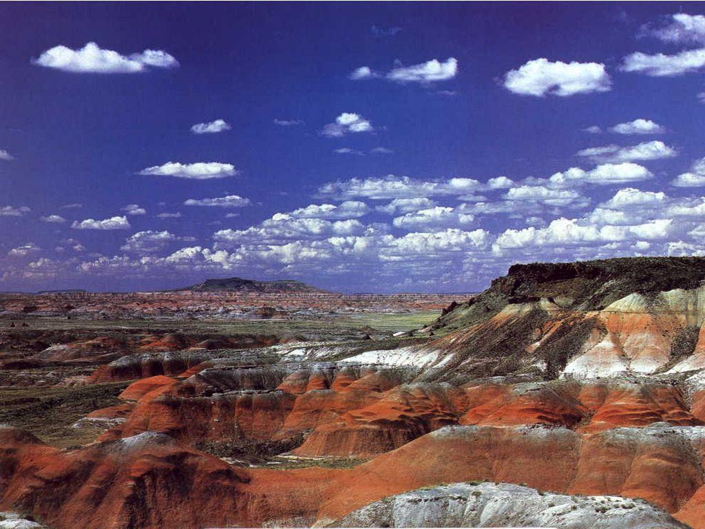 Petrified Forest California