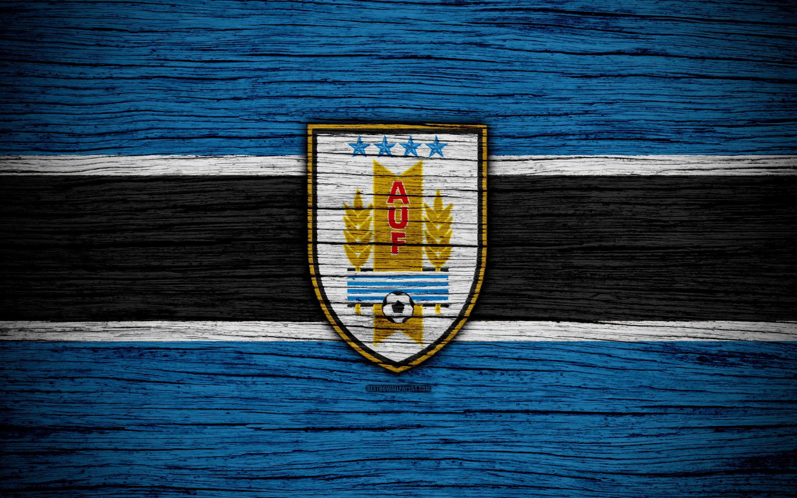 Download wallpapers k, Uruguay national football team, logo, North