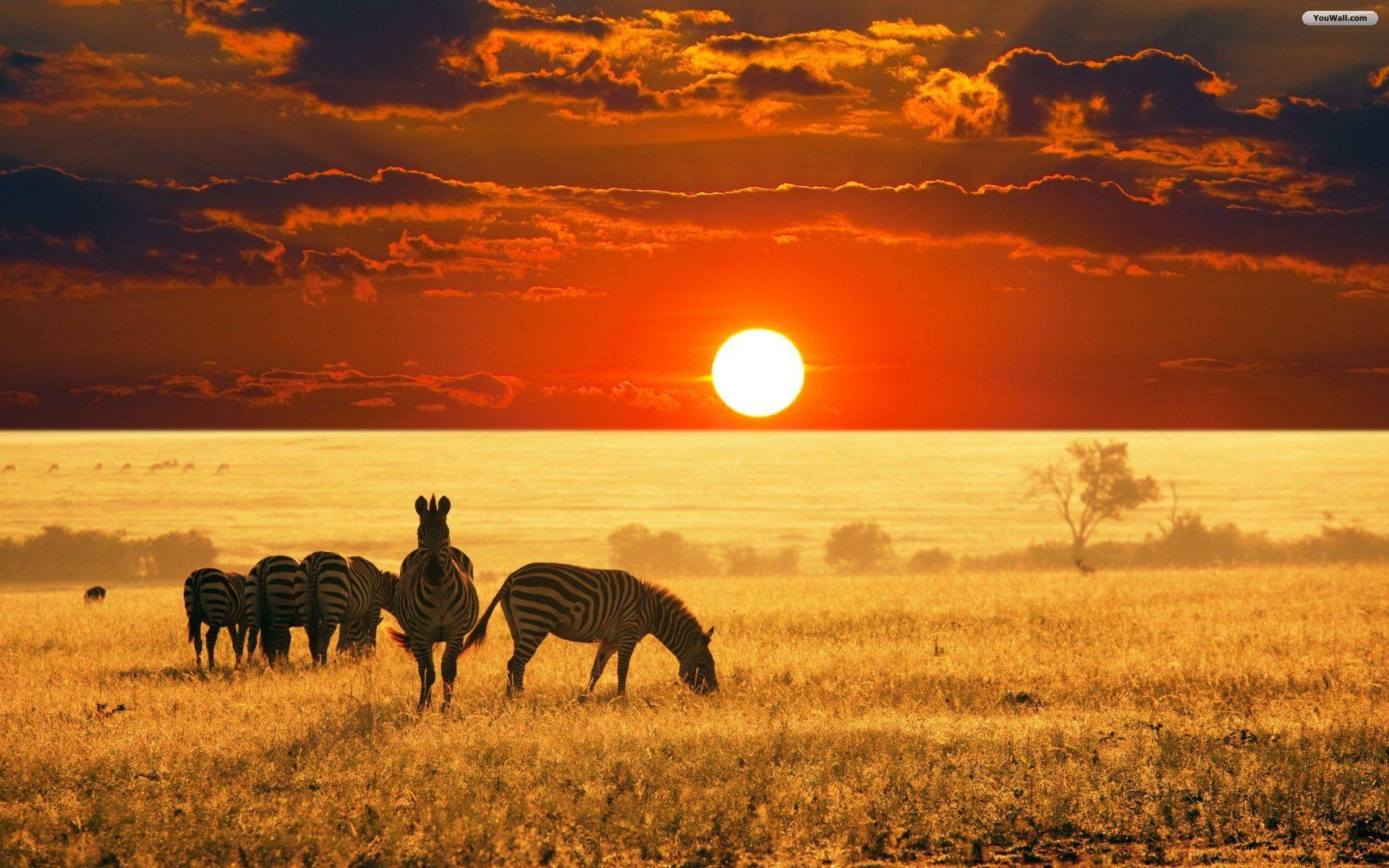 African wallpapers