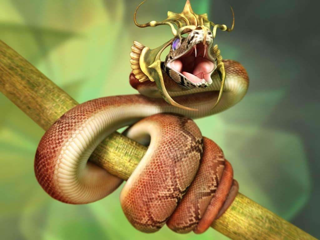 King Cobra Of Snake Wallpapers 2K Wallpapers