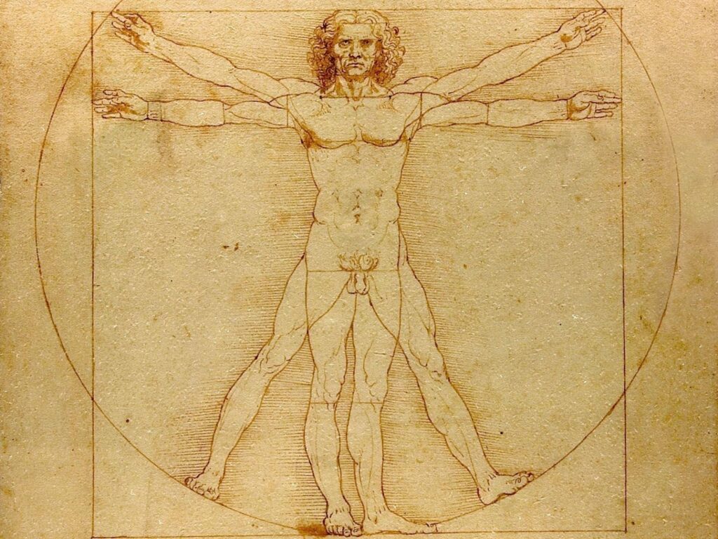 Vitruvian Man Leonardo Da Vinci Fresh New 2K Wallpapers Your Popular