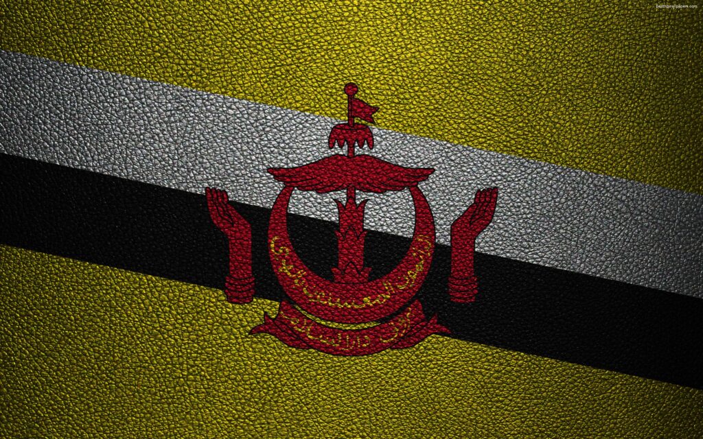 Download wallpapers Flag of Brunei, k, leather texture, Brunei flag