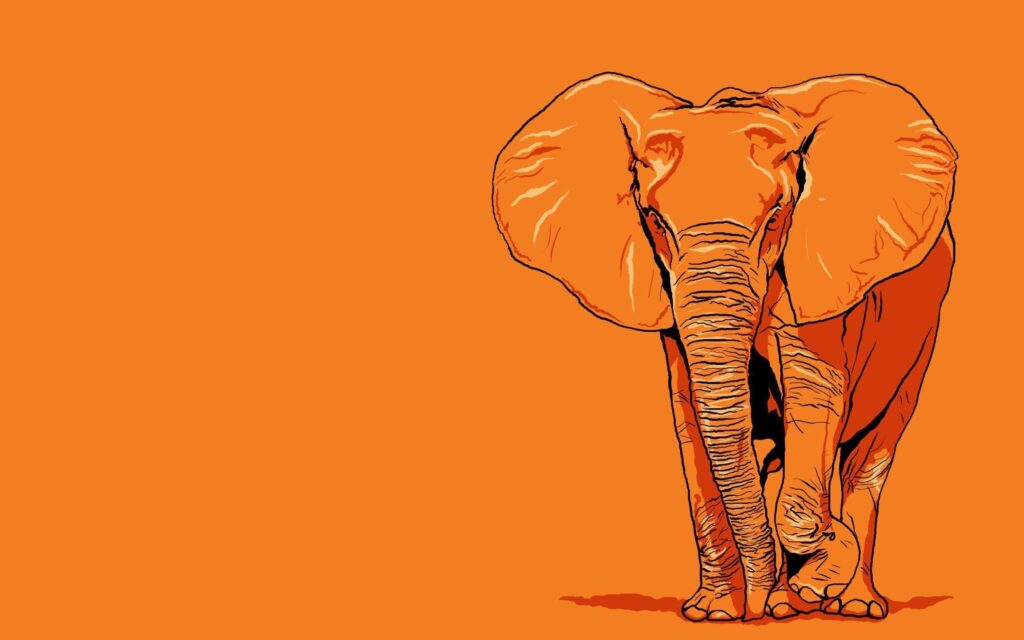 Elephant Wallpapers Art