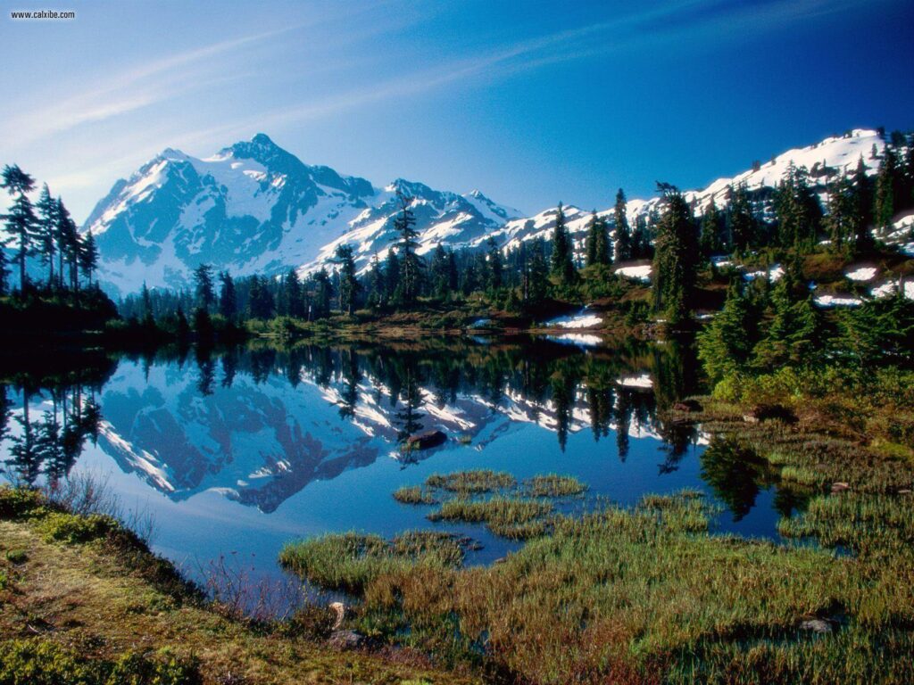 Nature Mount Shuksan North Cascades National Park Washington