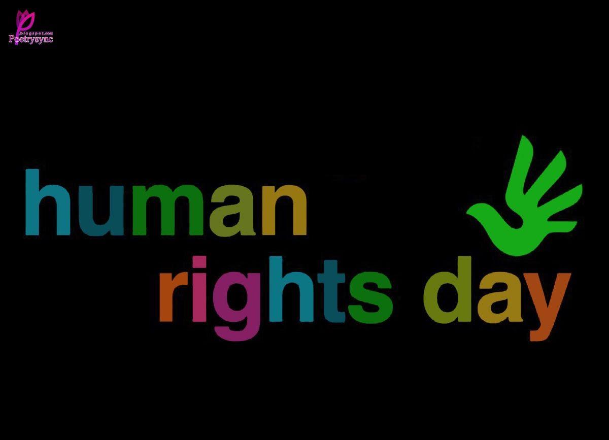 Human Rights Day Wallpapers 2K Download
